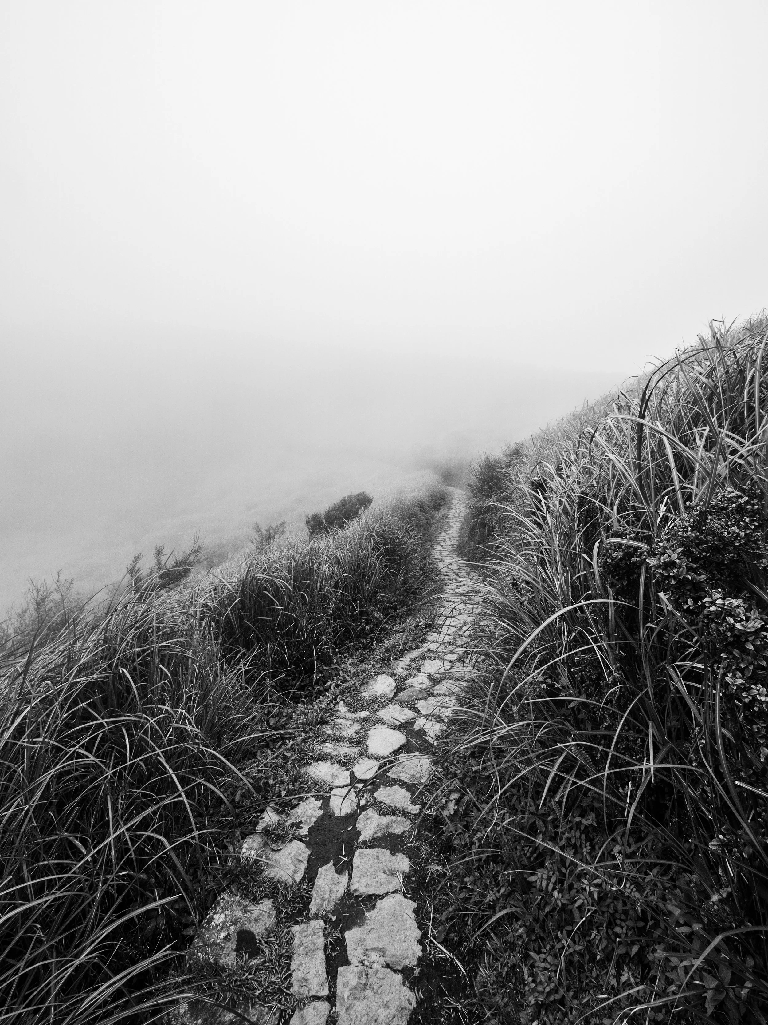 The solitary trail into the clouds. f7.1, ISO 200, 1/320, 14mm