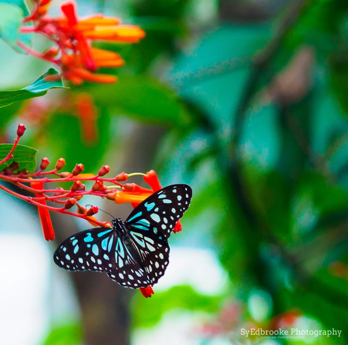 Blue and black. f4, ISO 200, 1/60, 150mm