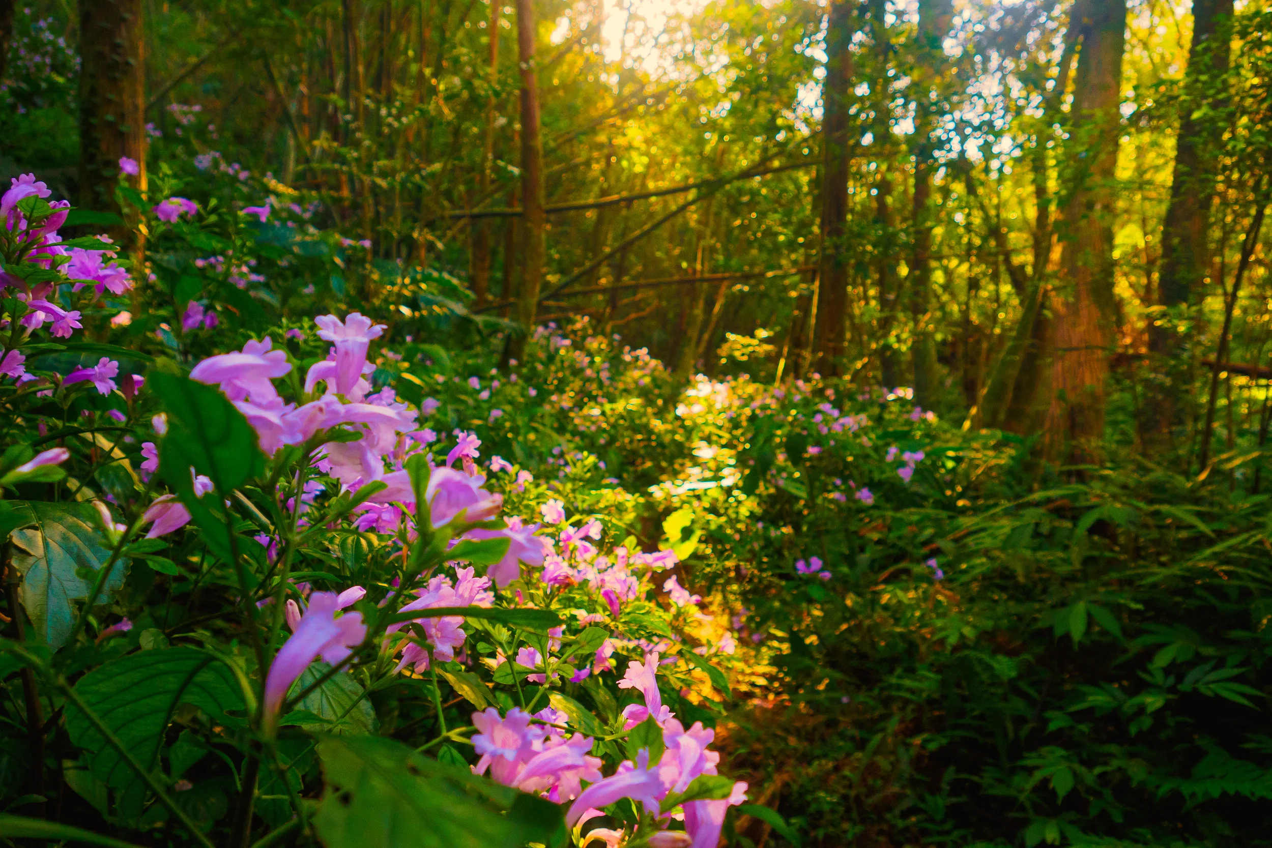 PC250148-Edit.jpg