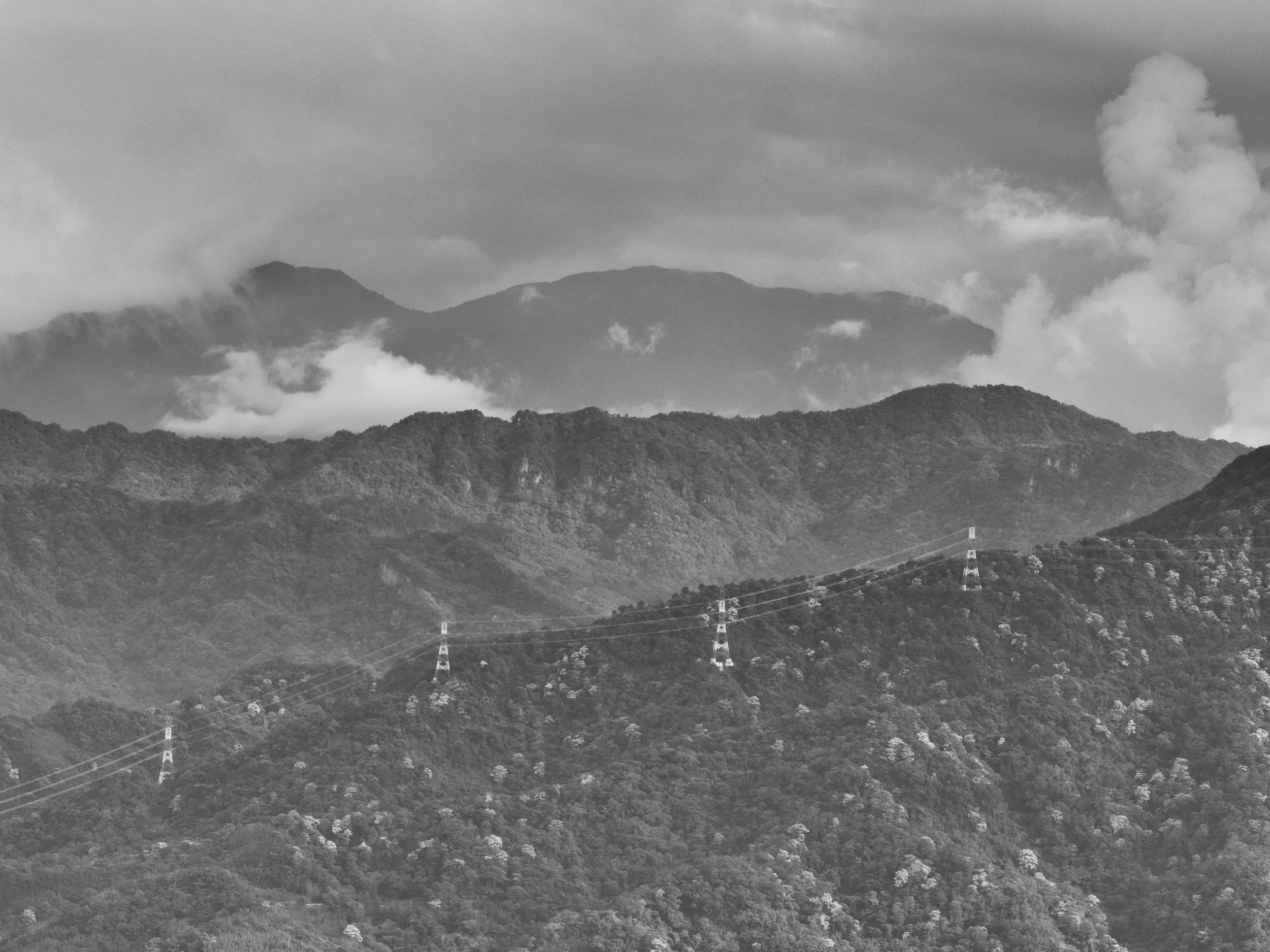 20190512-P5120653-Edit.jpg