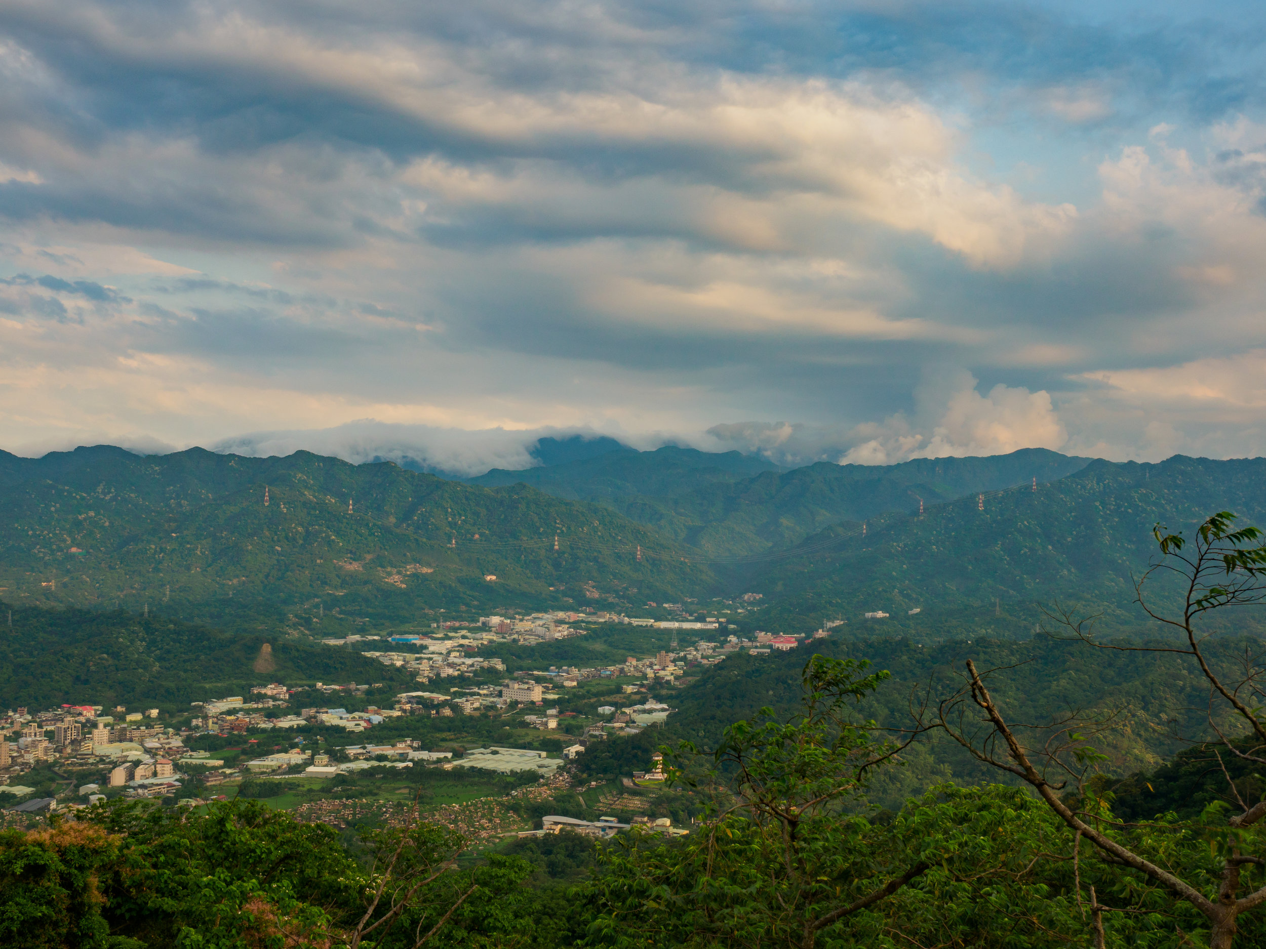 20190512-P5120674.jpg