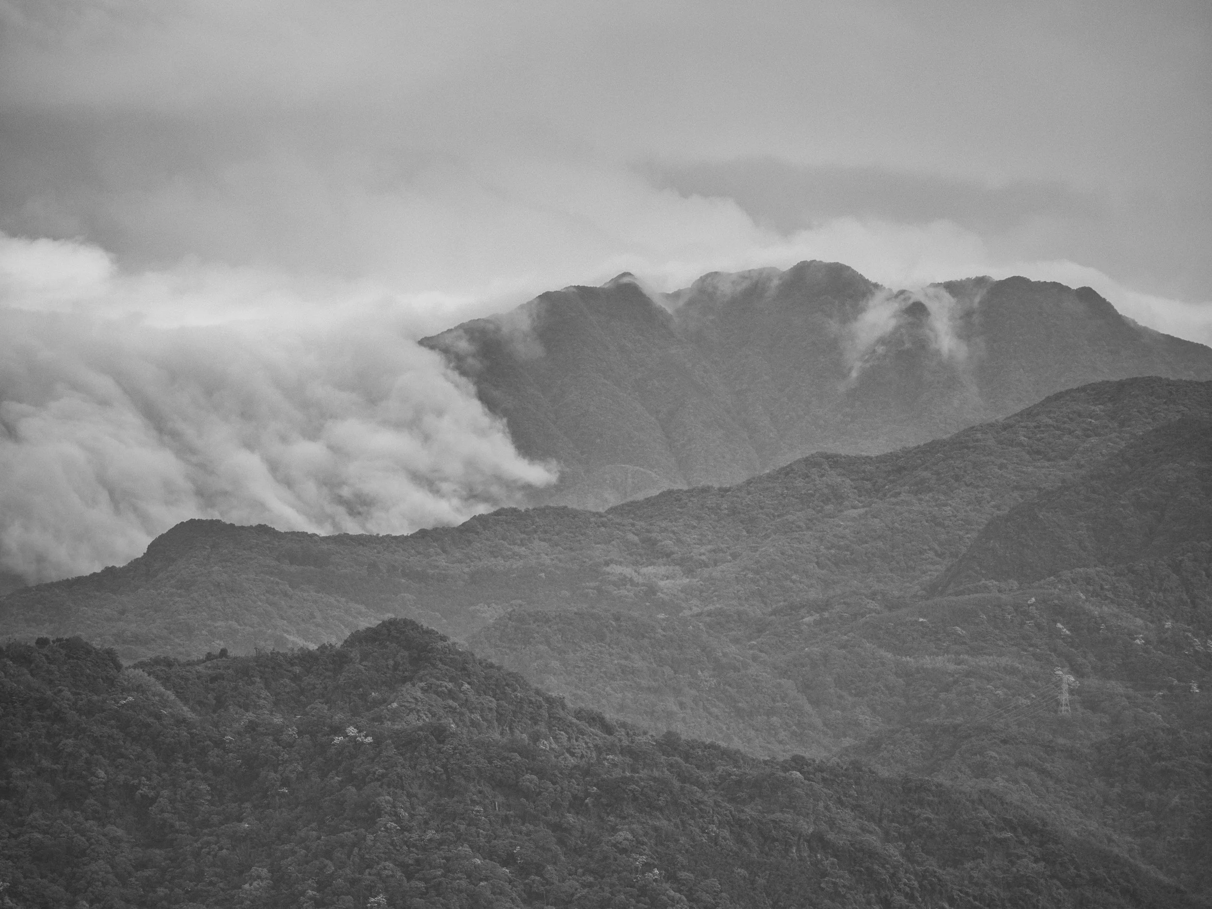 20190512-P5120648-Edit.jpg