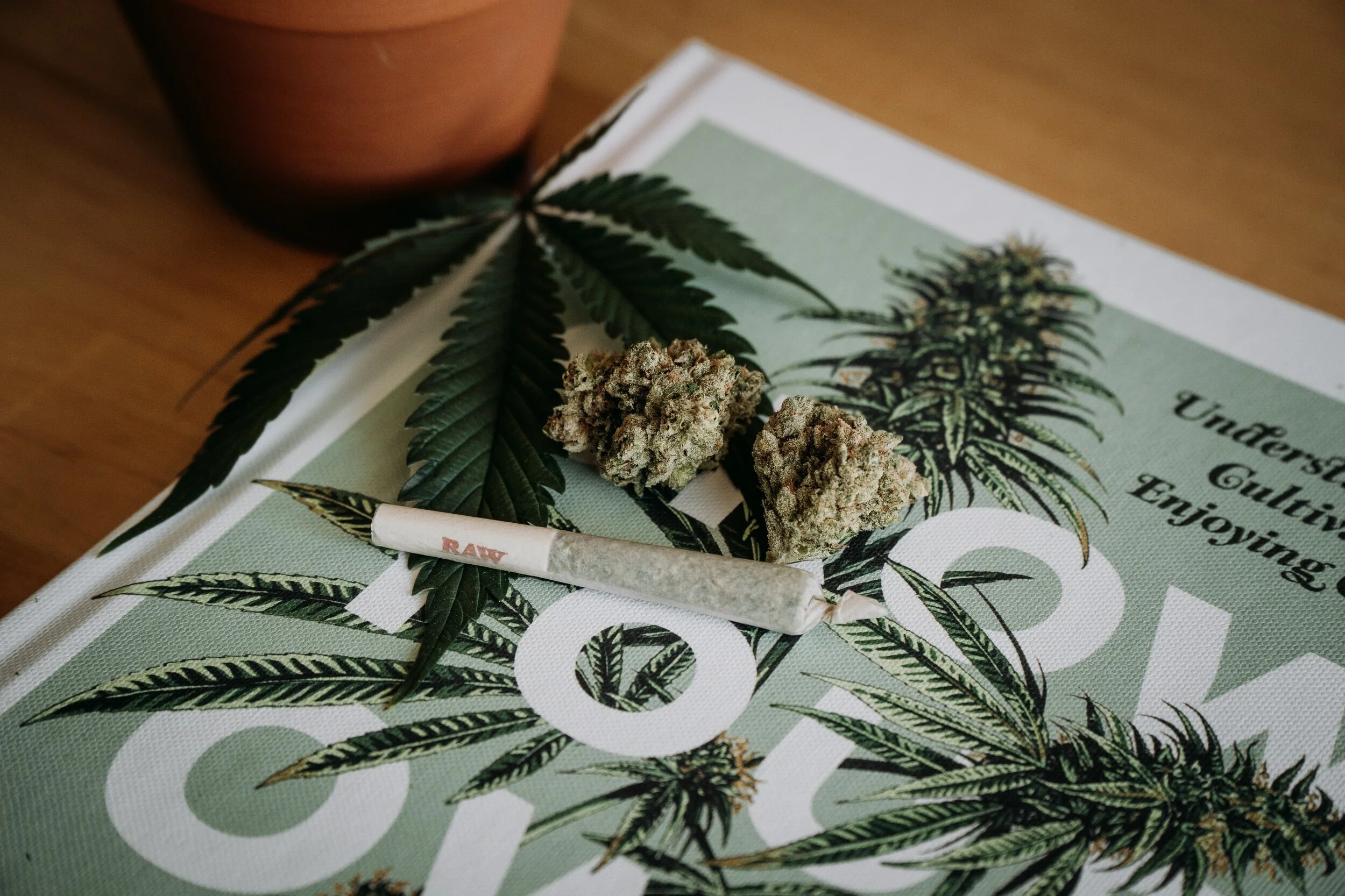 神秘的大麻花 談談毛狀體trichomes 萜烯terpenes Ice Cream Bully
