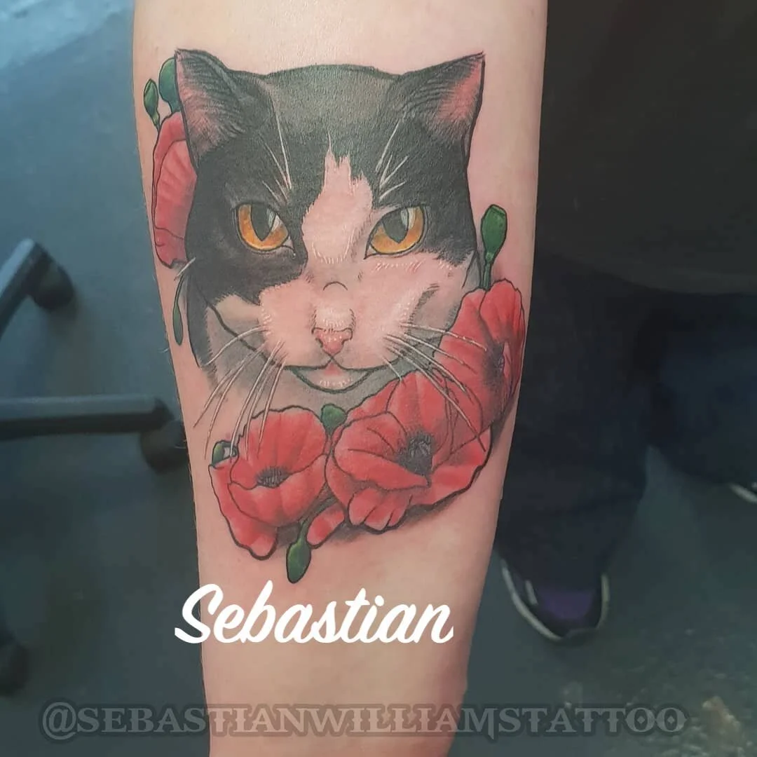 Sebastian Cat.jpg