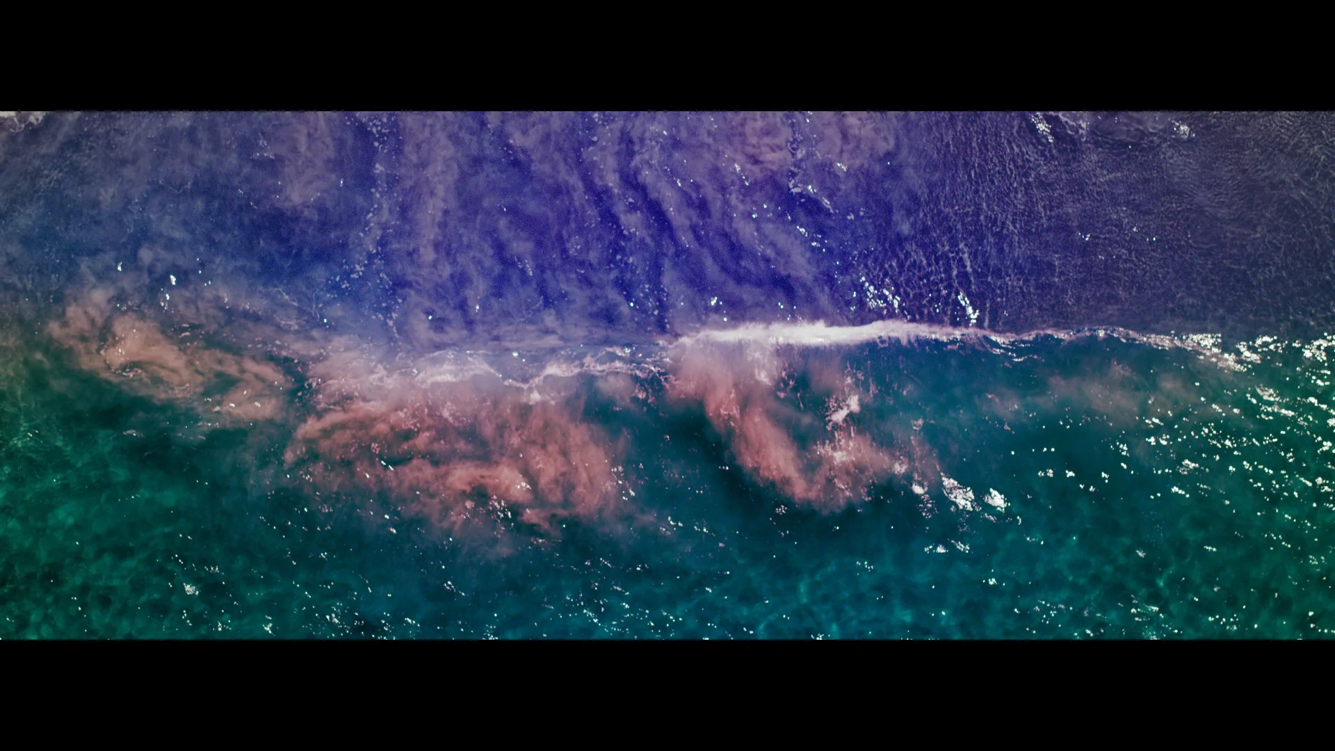 The Shallows - Title Sequence