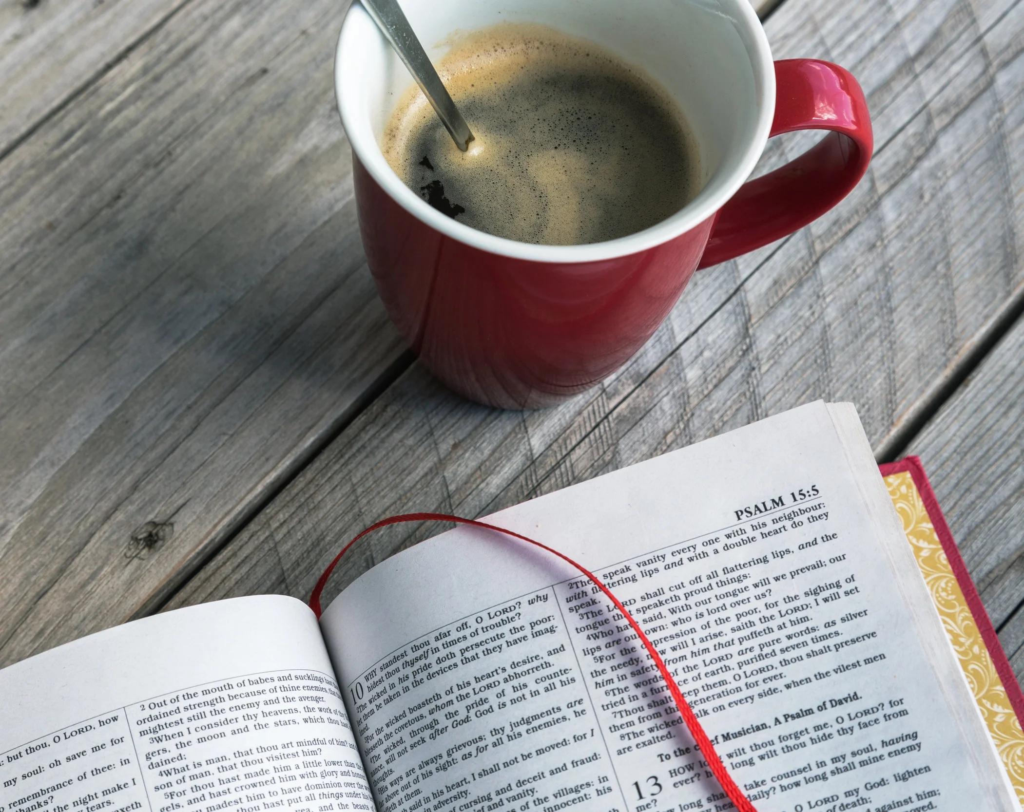 The Good Book Club 