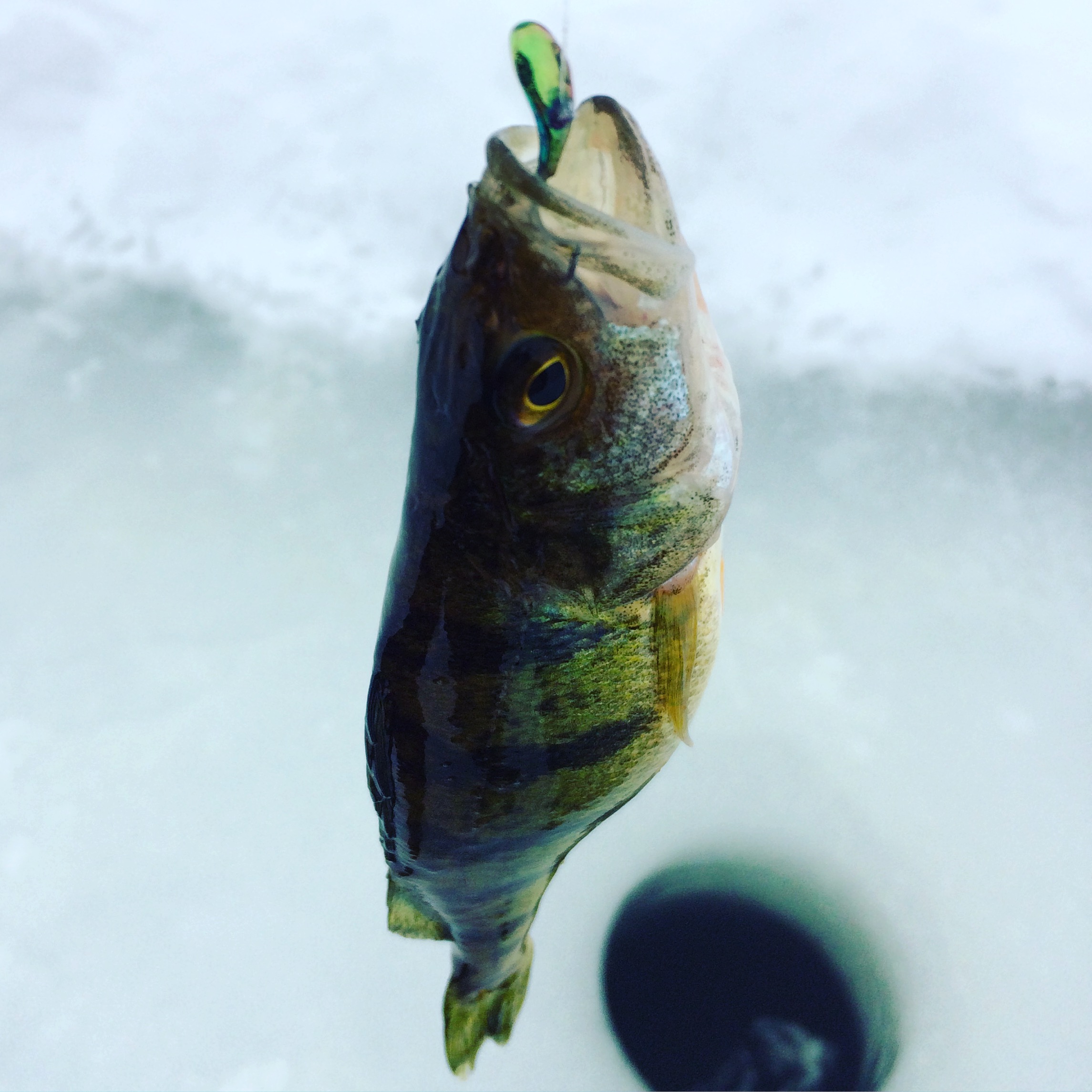 First Ice — An Amateur Outdoors