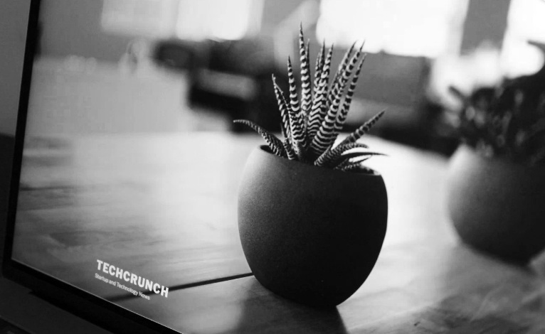 TechCrunch during the WordPress Outage