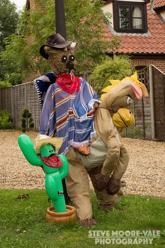 79.jpg