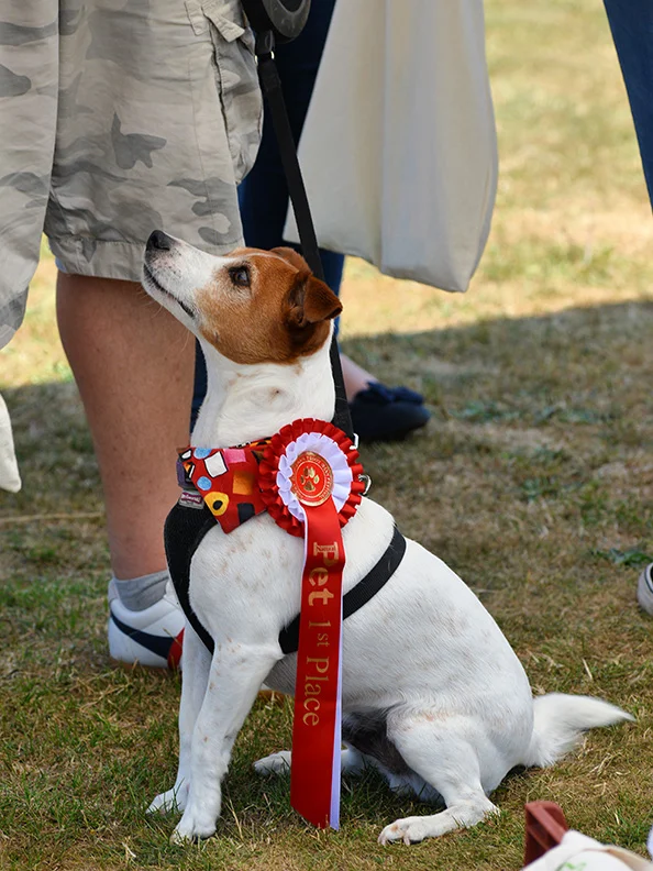 TPR_8599_w.jpg