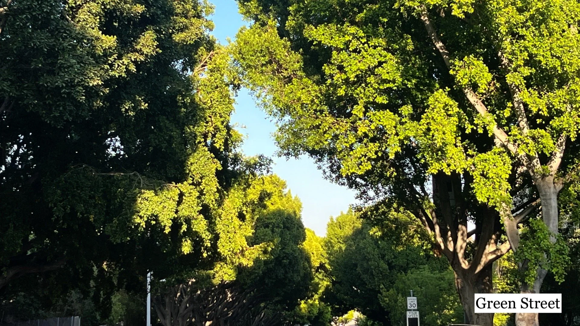 Green Street.jpg