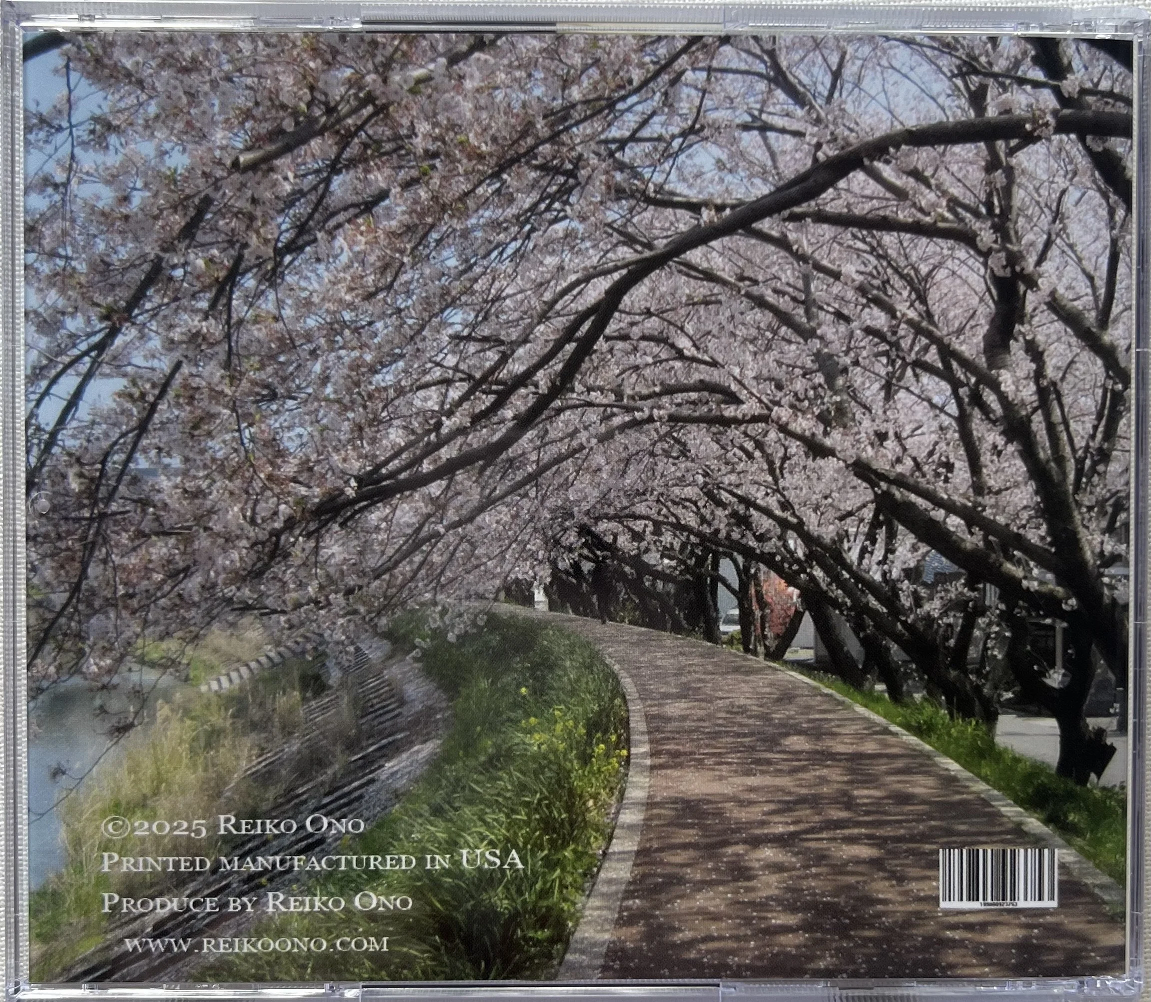 FOR A WALK II  CD 3.jpeg