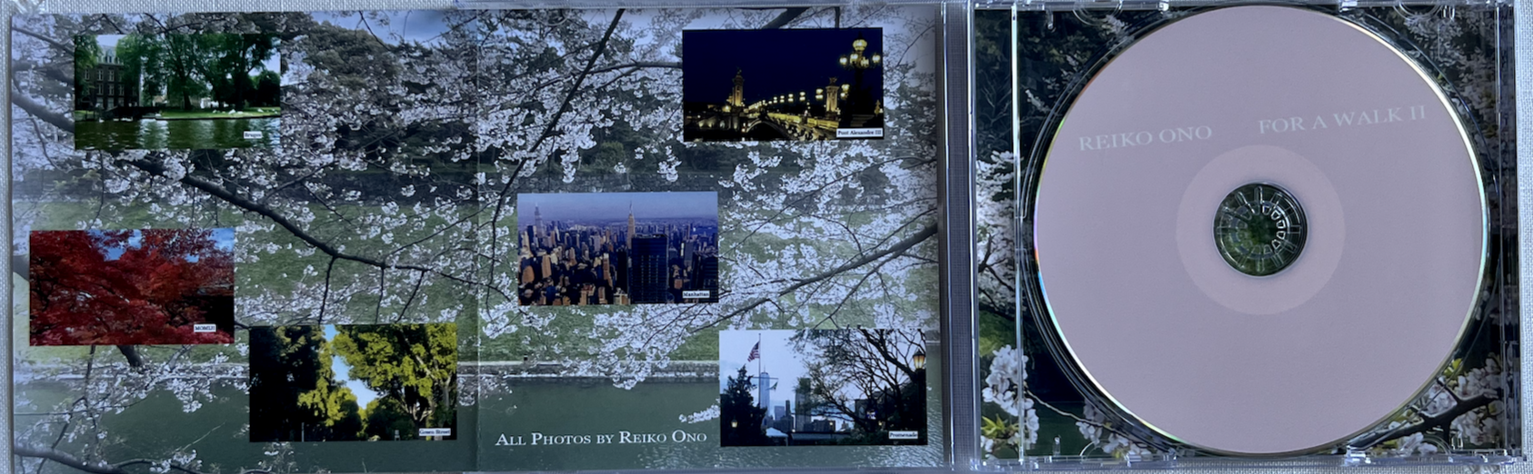 FOR A WALK II  CD 2.png