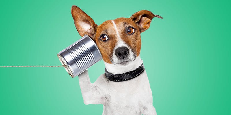 Continuous Employee Listening: The End of Survey Season