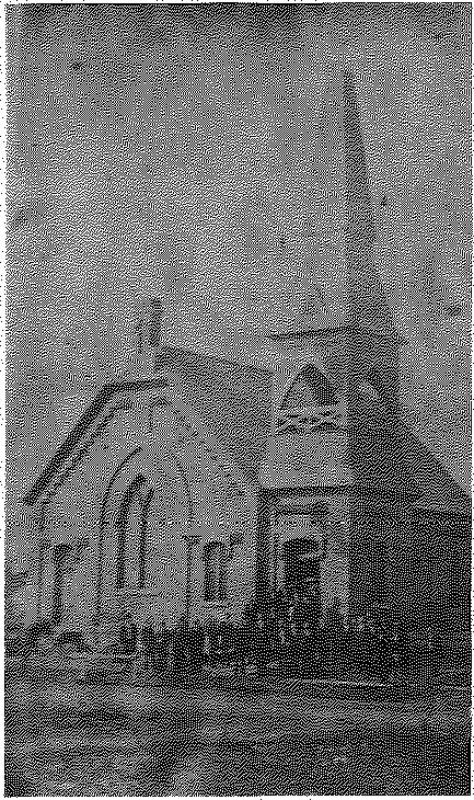 Trinity Lutheran Church, 1878