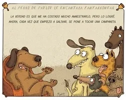 El aprendizaje en la vida cotidiana (primera parte) 