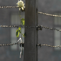 La historia del Dr. Víktor Frankl (podcast)