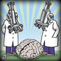 Las claves cerebrales de la memoria y el olvido (podcast)