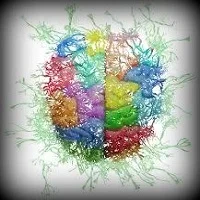 Aportaciones de la neurociencia al conocimiento del comportamiento humano 1ª P (podcast)