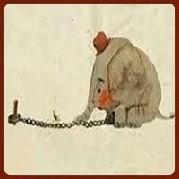 Indefensión aprendida (podcast)