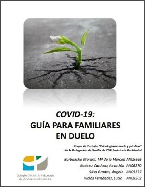 COVID-19: Guía para familiares en duelo  (PDF gratuito) 