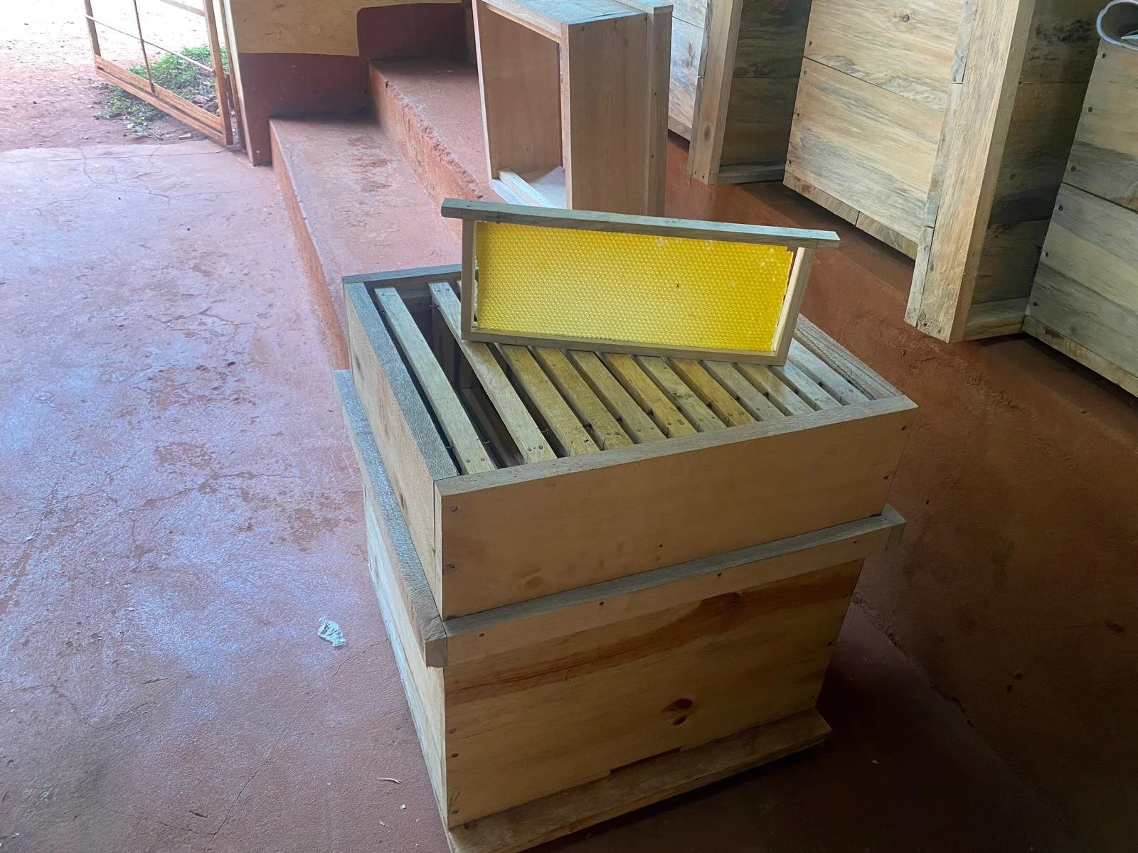 WhatsApp Image 2026-01-18 at 16.49.28 (2).jpeg