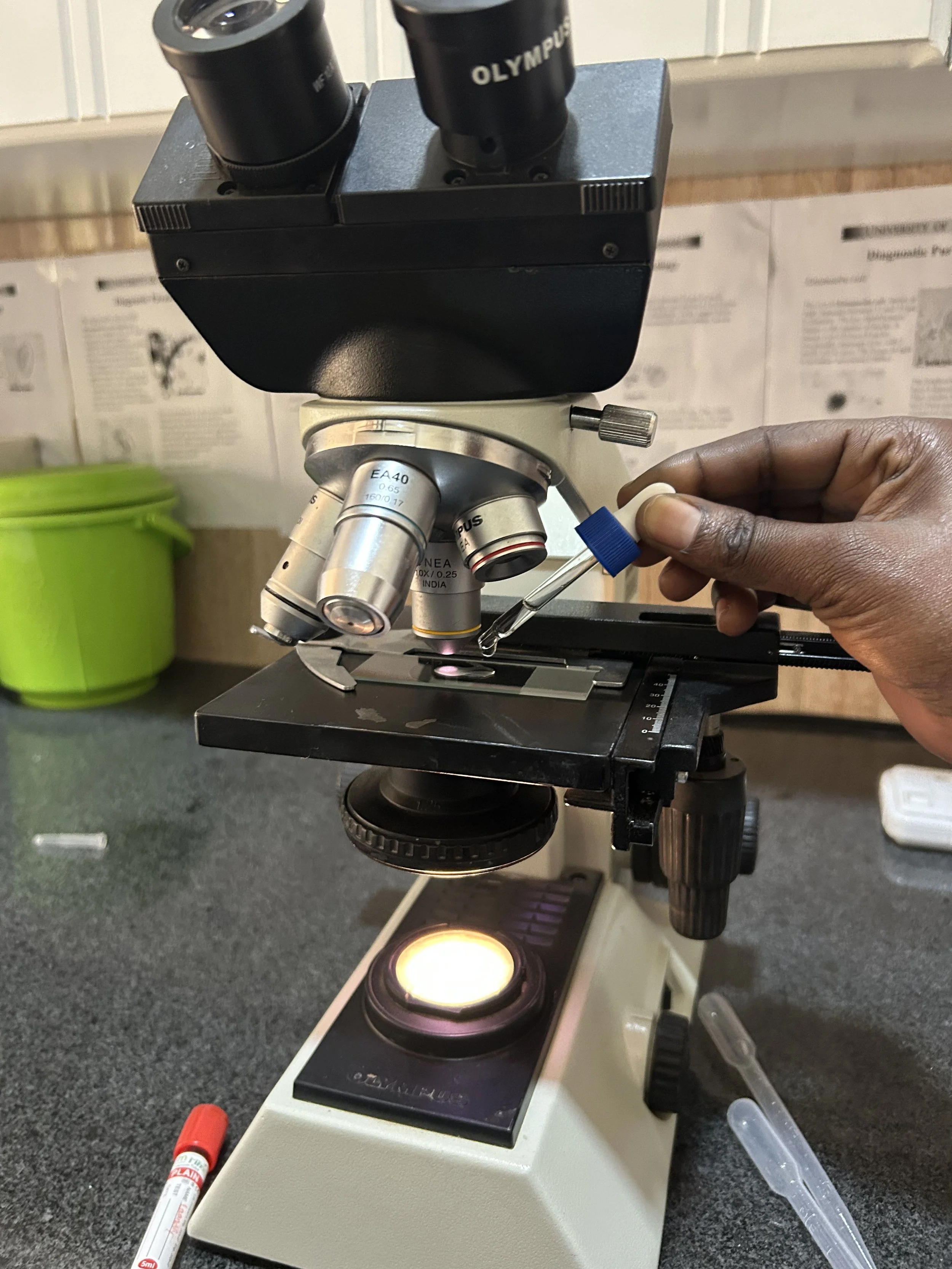 lab work_tumaini_mfs_2026.jpg