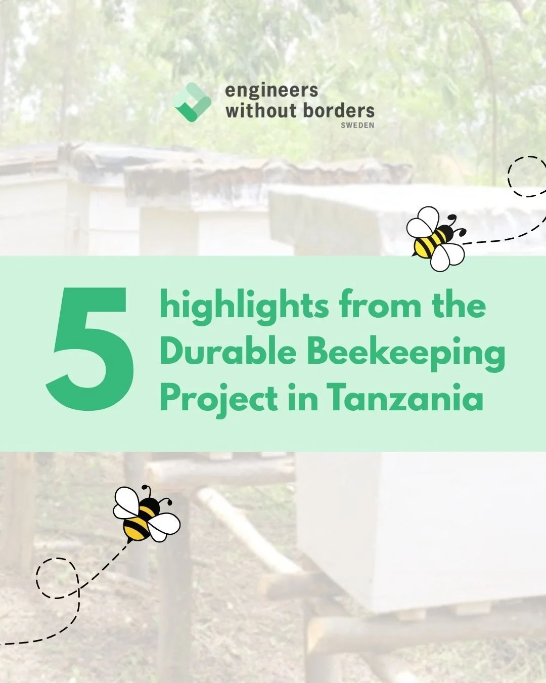 Today on World Bee Day, we celebrate the small things making a great difference. 🐝 

In the seven months since the project started, the Durable Beekeeping for Sustainable Livelihoods project in Tanzania has made significant progress.

Together with 