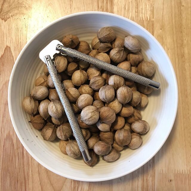 Hickory nut &quot;milk&quot;
.
.
#foraging #foragedfood #hickory #nutmilk #wildfed