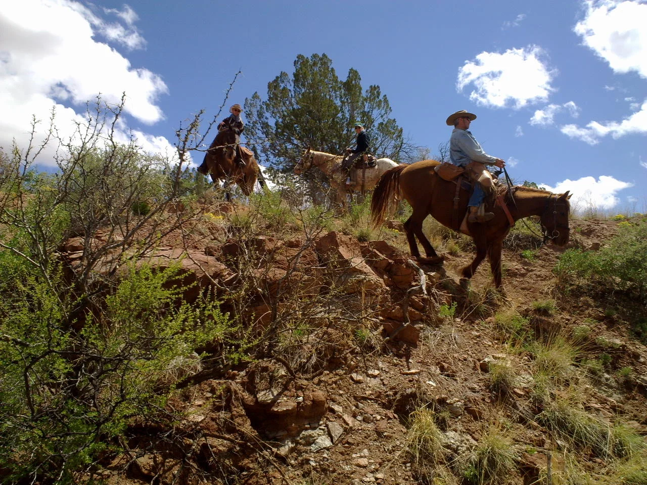 ! ranch slide 5.jpg