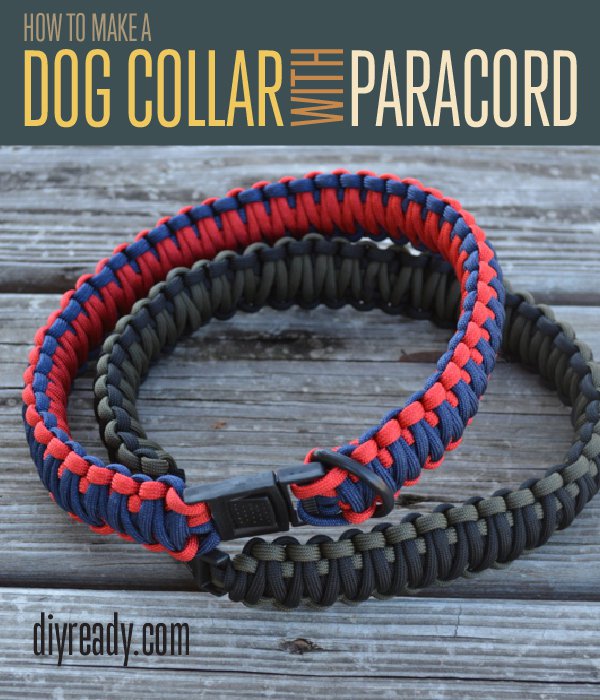 5 Hot DIY Dog Collar Ideas — THE PAW PRINT by Garden City Pets