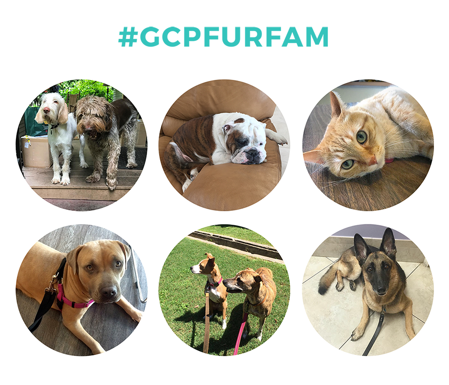 #GCPFURMFAM copy.png