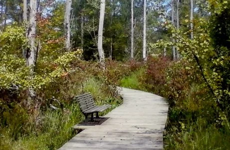 Haw-River-State-Park-1-461x300.jpg