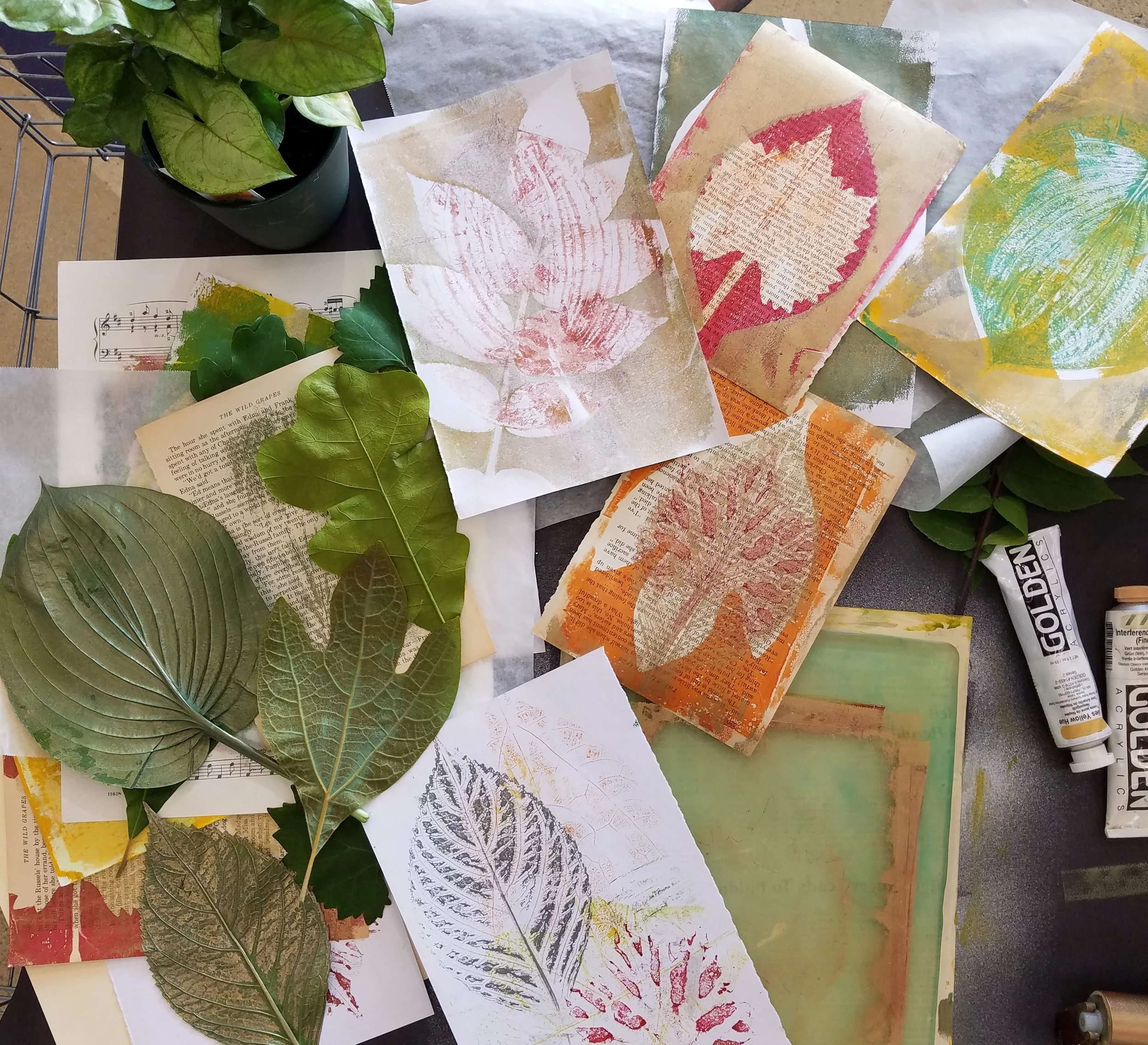 Print Naturally -- a workshop that focuses on capturing the beauties of nature