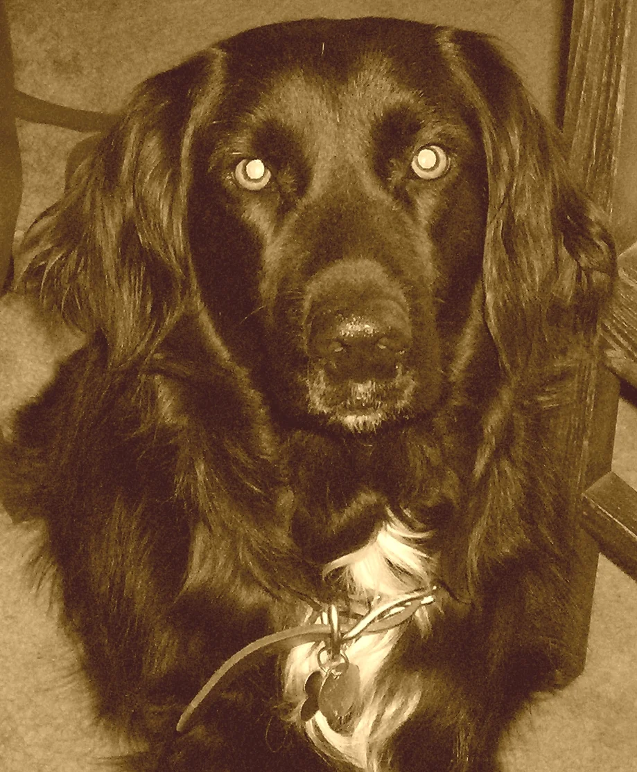 RIP Lady Wito Marie Arrowood -- You were dearly loved and will be sorely missed