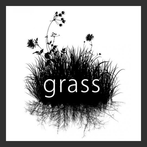 GRASS (Group Recycling and Sustainable Solutions) (University of Louisville)