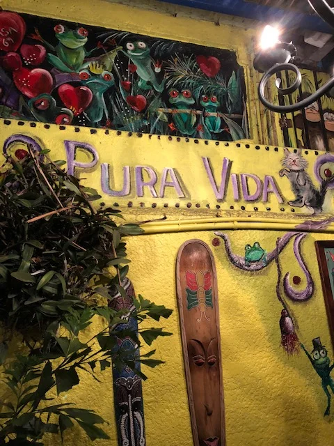 BCFG Blog - Pura Vida Image.jpg