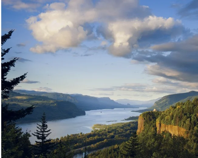 The Power of Resiliency