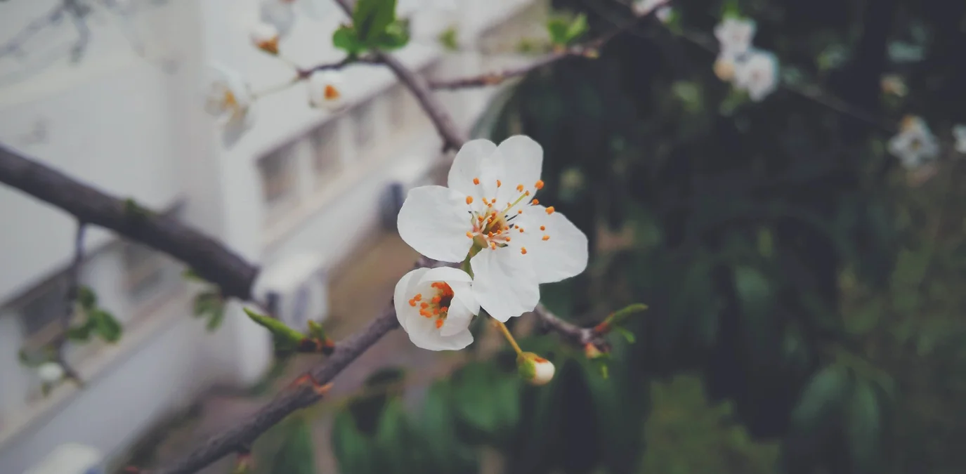 Changing of Seasons: Is There A Lesson For Non-Profits