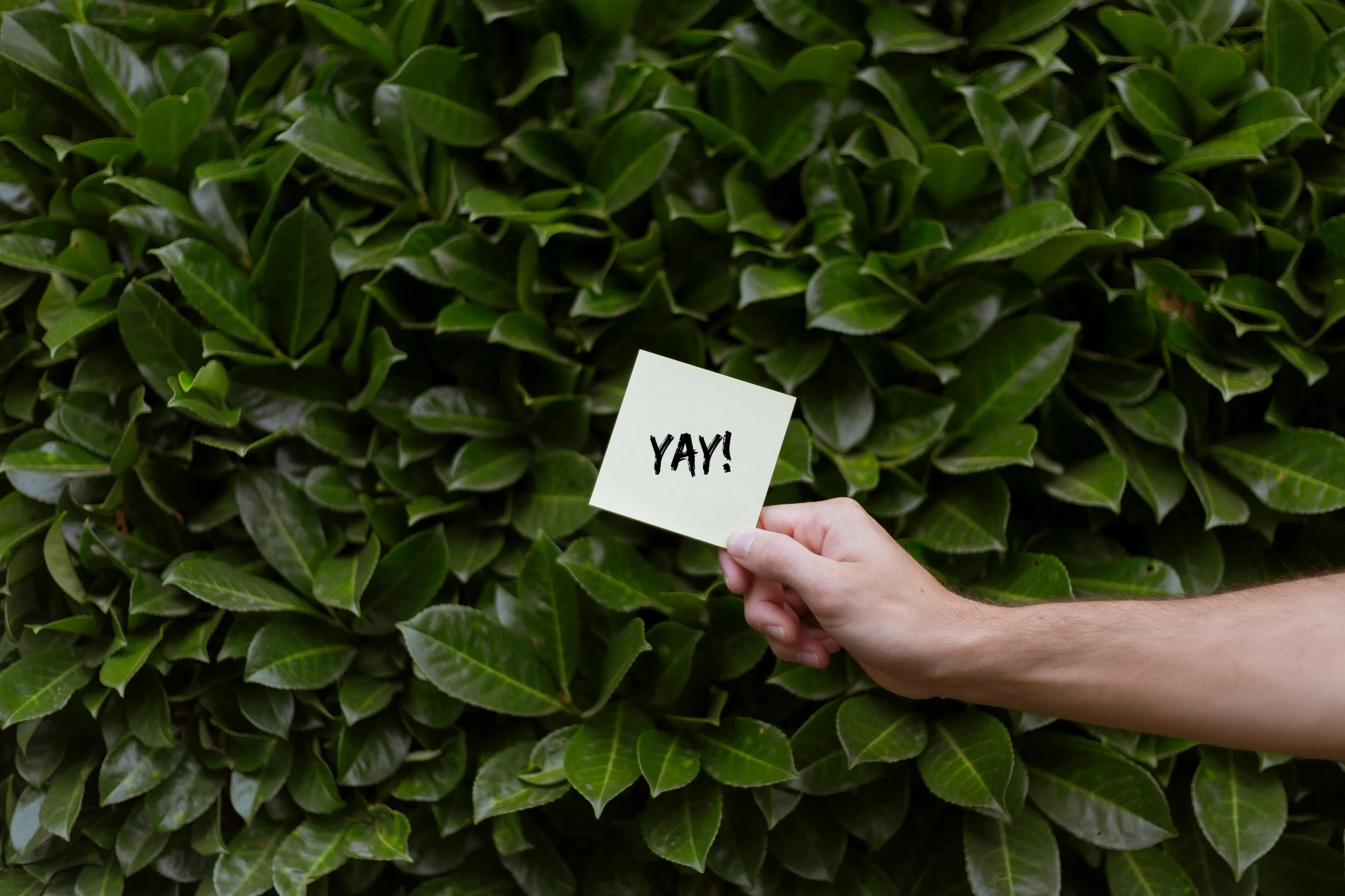 Introducing BCFG Questionnaire 2.0: A STRONGER Compass for a Purpose-Driven Business