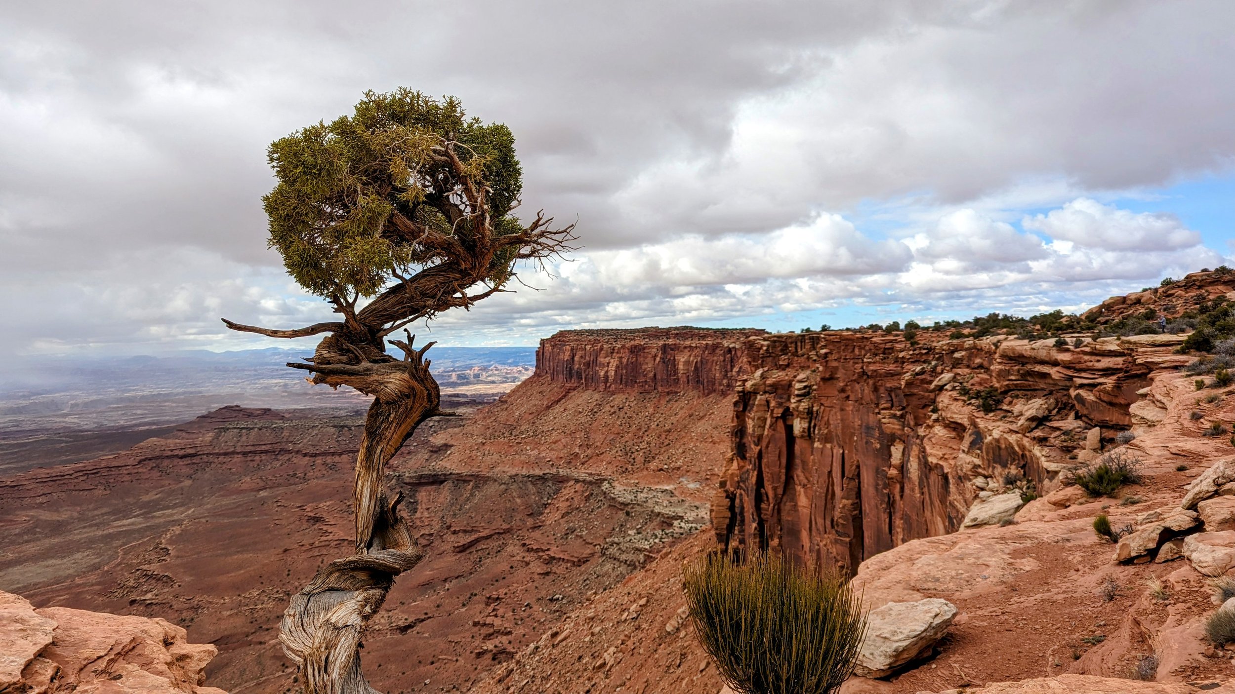 The Resilient Purpose-Driven Team: 5 Steps to Keep Your Mission Strong When It's Hard