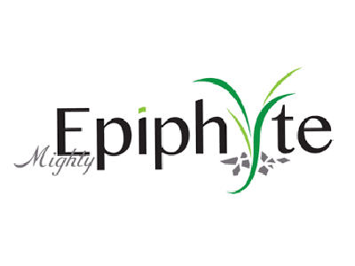 Mighty Epiphyte Logo designed with stylized leaves and stones.