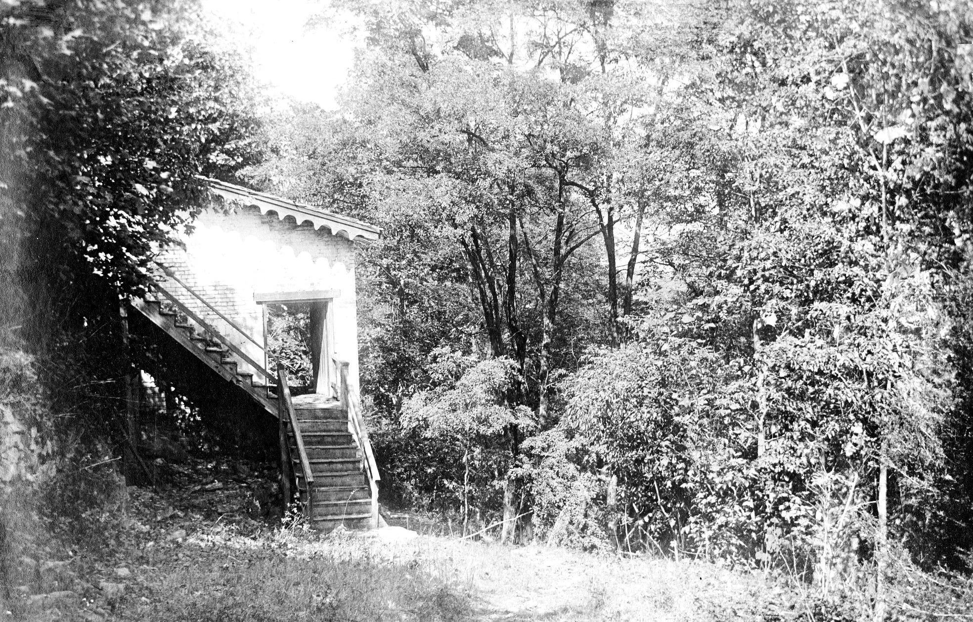 White Spring and Armfield Spring House