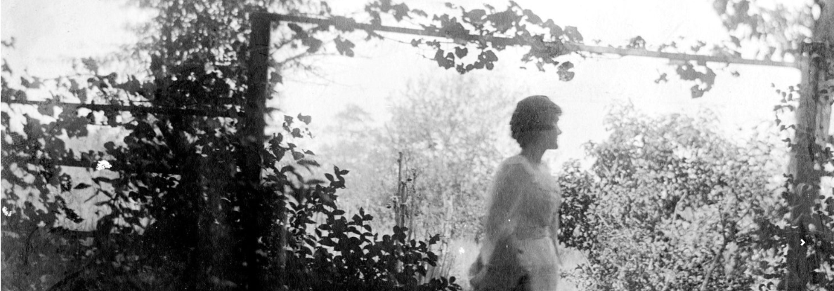 Screen Shot 2018-09-28 at 11.12.55 AM.png