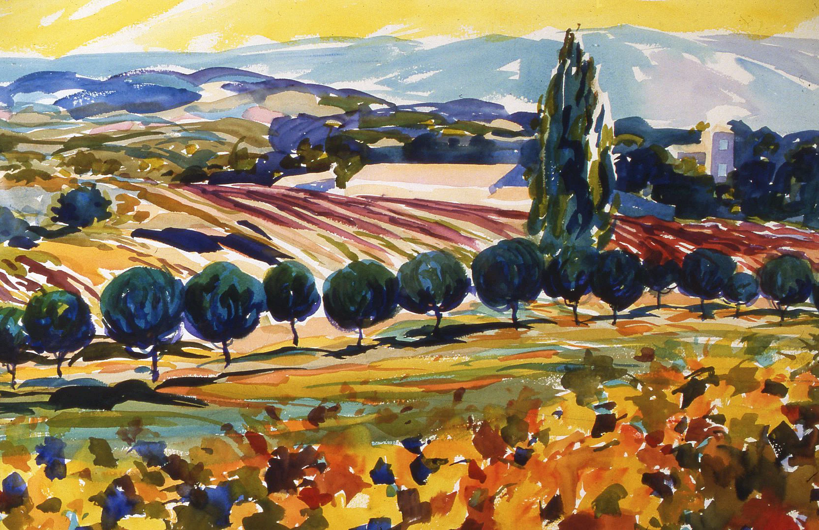 Winery Provence Private Collection