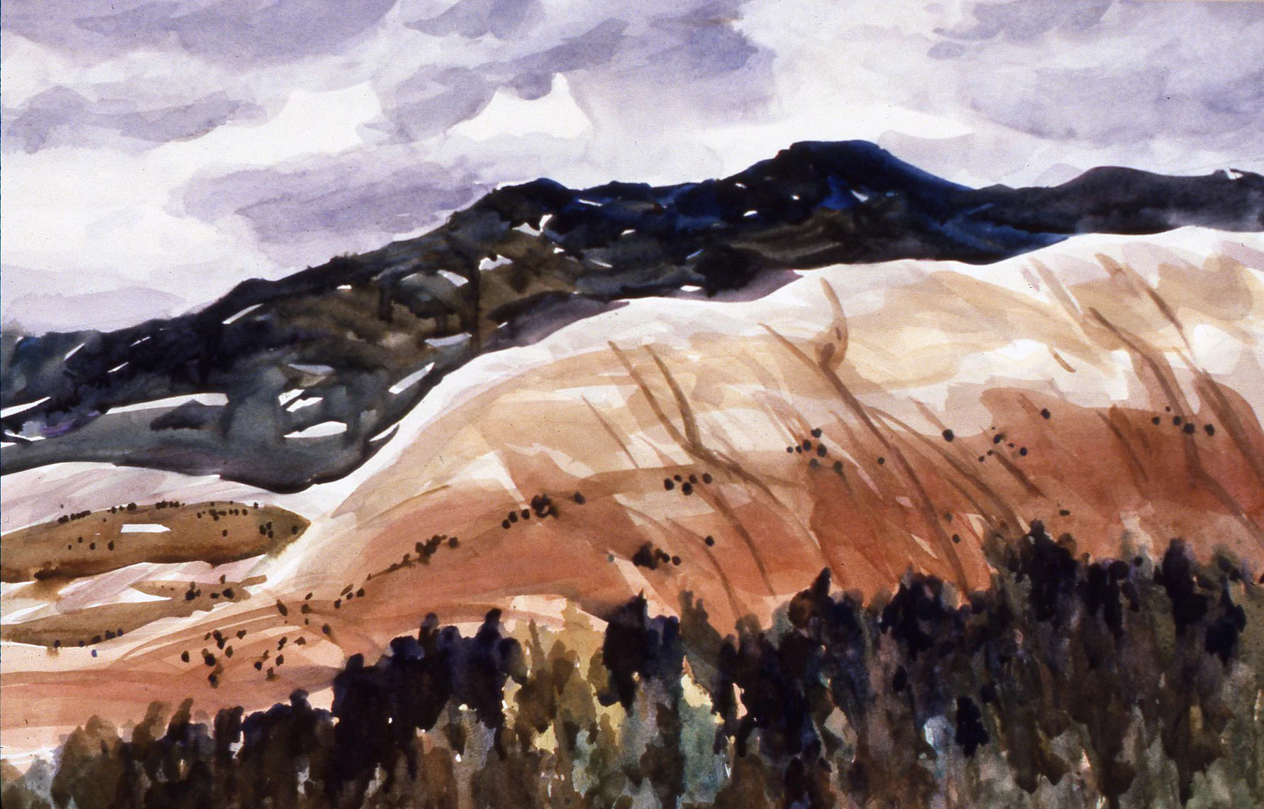 Sandoval County