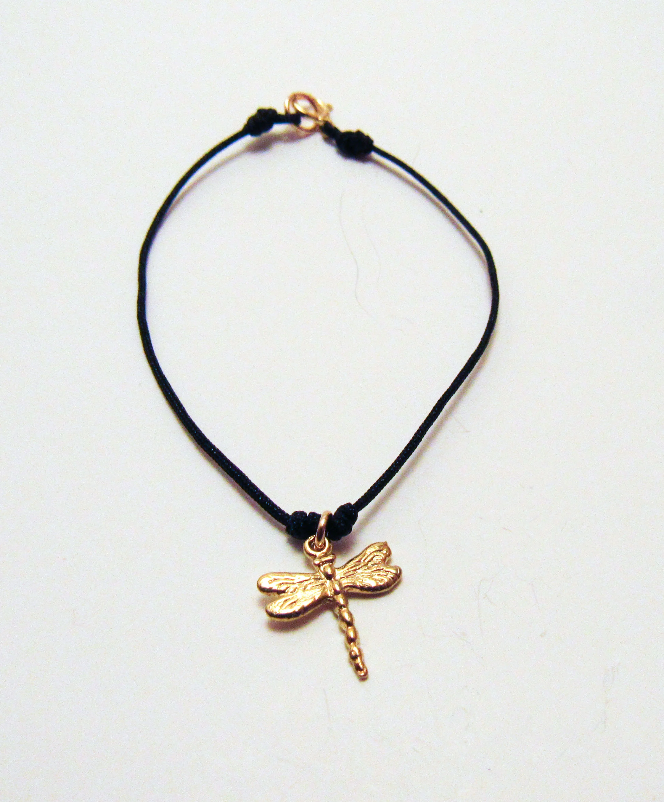 Dragonfly on Cord