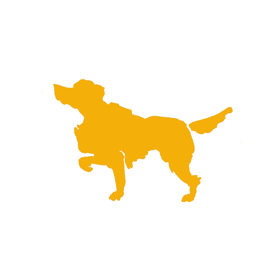 Sticker silver - copie.png