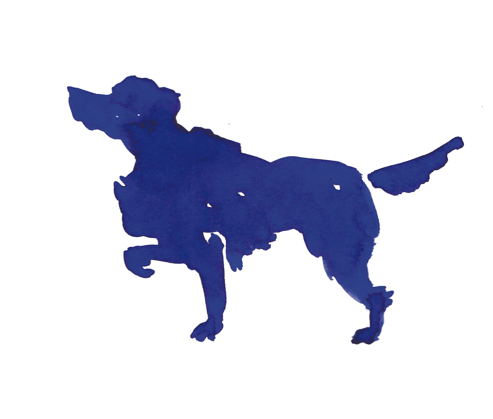 willi-the-dog ink.jpg