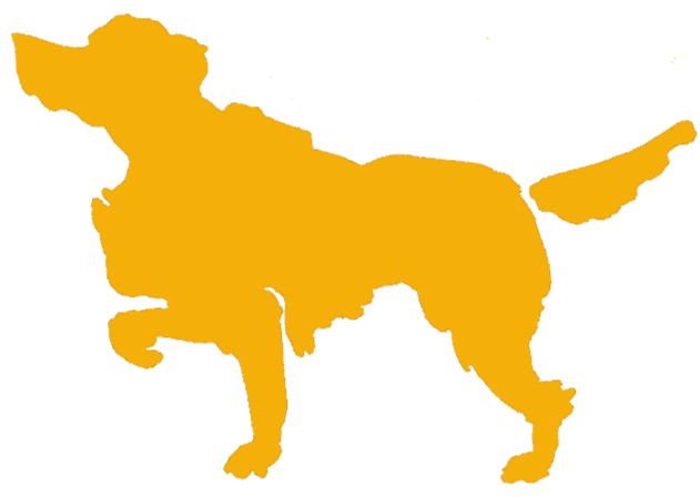 Silhouette d'un chien, de couleur jaune sur fond noir.